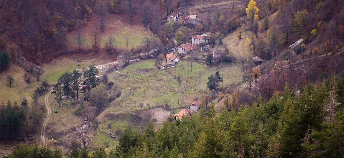 a small village in the middle of a forest