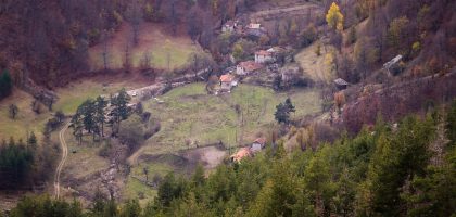 a small village in the middle of a forest