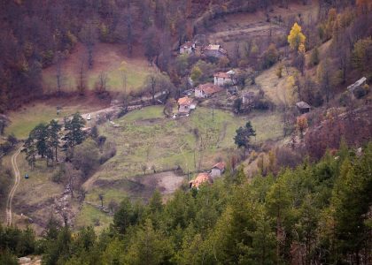 a small village in the middle of a forest